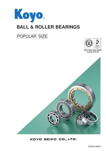 Ball & Roller Bearings