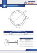 CAROUSEL CHIP CONVEYOR - 2