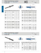 Langschaftbruch-Blindniet FERO-BULB - 2