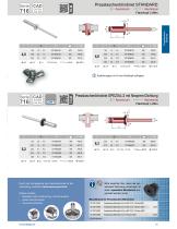 Presslaschenblindniet - 2