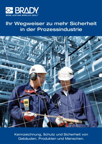 Prozessindustrie