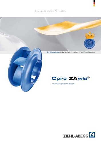 Flyer Cpro ZAmid