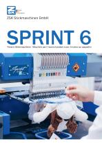 SPRINT 6 - 1