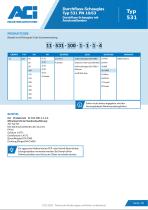 Durchfluss-Schauglas Typ 531 PN 10/63-3