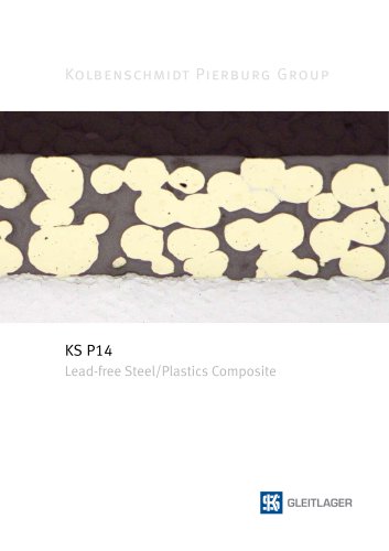 KS P14
