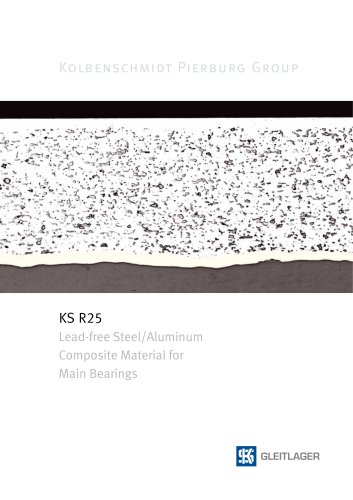KS R25