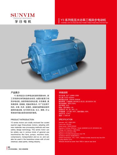 Y3 SERIES LOW VOLTAGE AND HIGH POWER THREE-PHASE INDUCTION MOTOR