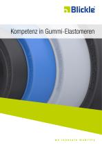 Kompetenz in Gummi-Elastomeren