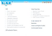 Corporate SISE-DE-2