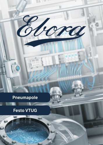 Pneumapole Brochure DE