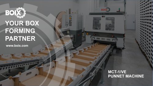 MCT-1VE Punnet machine