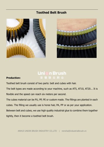 Toothed Belt Brush