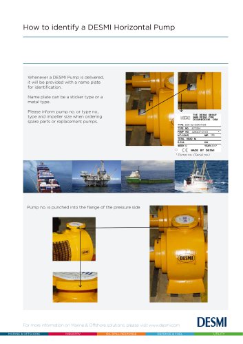 How to identify a DESMI Horizontal Pump