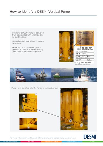 How to identify a DESMI vertical pump