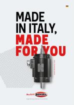 Made in Italy, made for you - 1