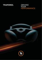 Image Flyer-1