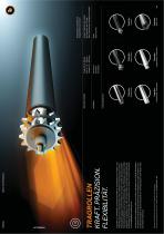 Image Flyer-3
