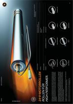 Image Flyer-4