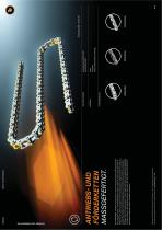 Image Flyer-8