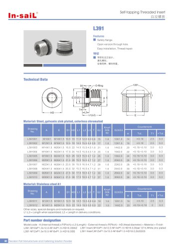 L391 series Safety flange with sealing flange,with sealing ring,effective sealing gases and liquids.