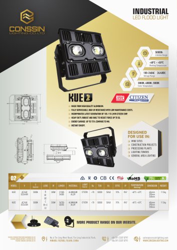 KUE2 Industrial Flood Light