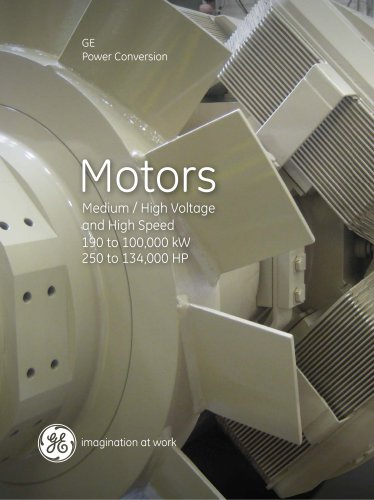 Medium & High Voltage and High Speed Motors