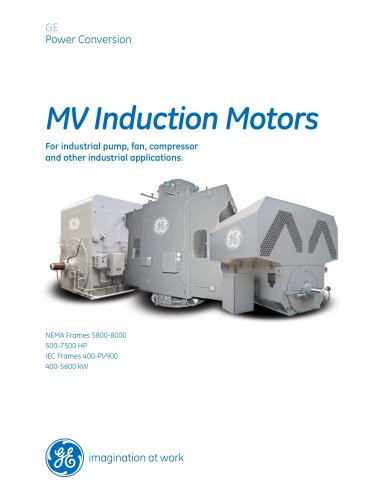 MV Induction Motors 500-7500 HP, 400-5600 kW