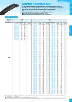 Industrial Power Transmission Products - 15