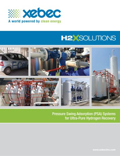 H2X Hydrogen