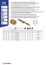 Gabelhubwagen Katalog-14