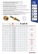 Gabelhubwagen Katalog-15