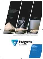 Presentation Prosilicones64-Progress - 1