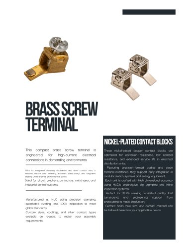 BRASS SCREW TERMINAL