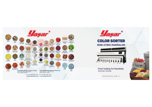 Color Sorter