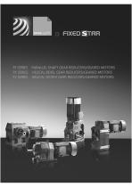 FF Parallel Shaft Reducer