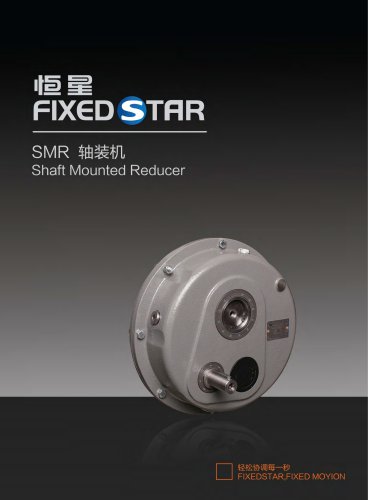 Shaft Mounted Reducer