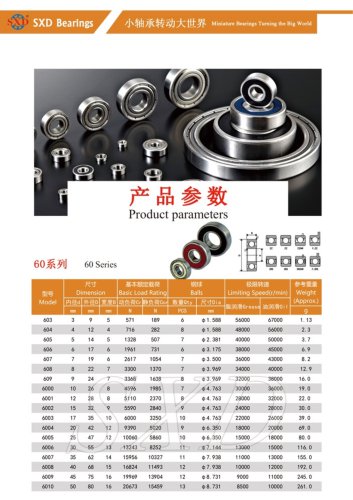 60 Series Ball Bearings