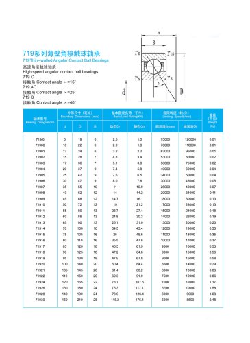 719 Series Thin Section Angular Contact Ball Bearing