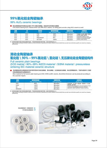 Al2O3 Full Ceramic Bearing & Full Ceramic Plain Bearing of Different Ceramics
