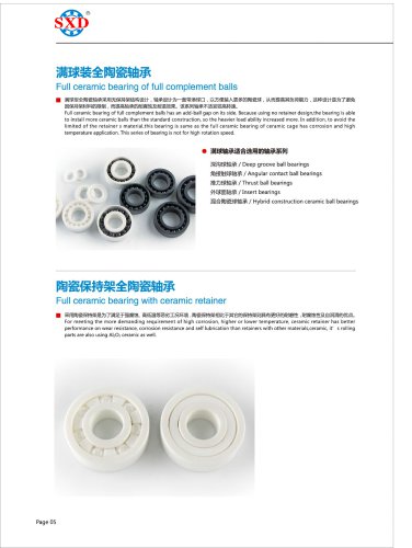 Full Ceramic Bearing of Full Complement Balls & Full Ceramic Bearing with Ceramic Retainer