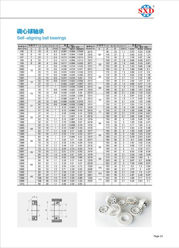 Full Ceramic Self-Aligning Ball Bearing