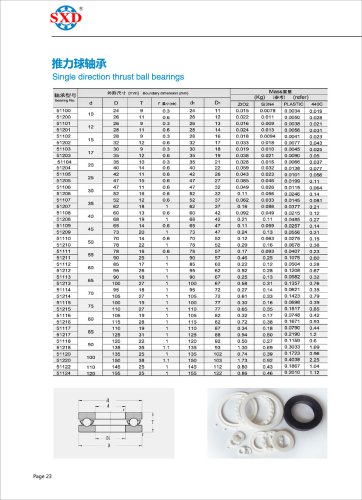 Full Ceramic Thrust Ball Bearing