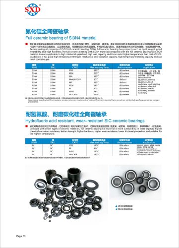 Si3N4 Full Ceramic Bearing