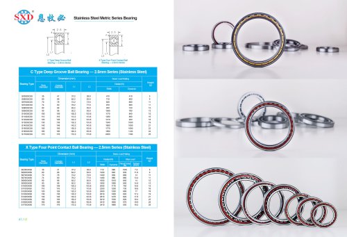 Stainless Steel Metric Type Angular Contact Bearing