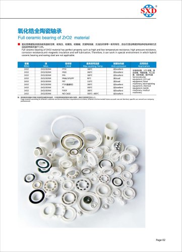 ZrO2 Full Ceramic Bearing