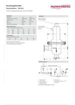 Druckminderer DM 462 - 2