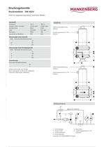 Druckminderer DM 462V - 2