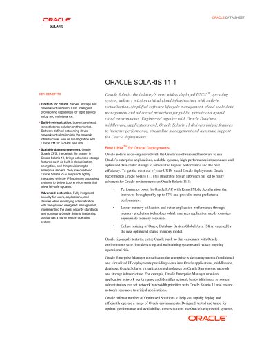 ORACLE SOLARIS 11.1