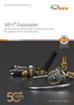 WEH® Adaptionstechnik für die Gasindustrie - 1