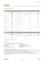 WEH® Adaptionstechnik für die Gasindustrie - 7